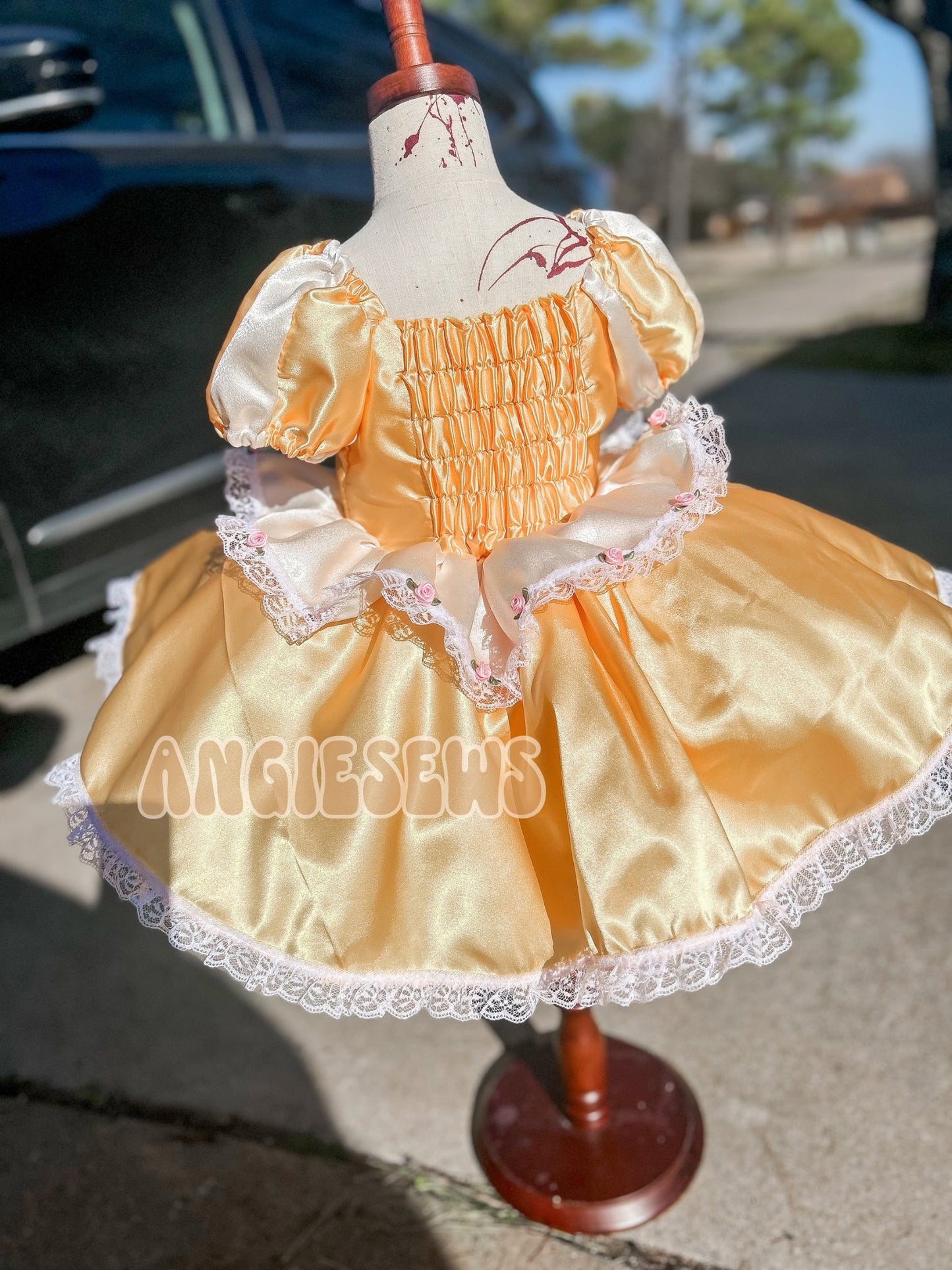 Soft girl ballroom dreams ✨